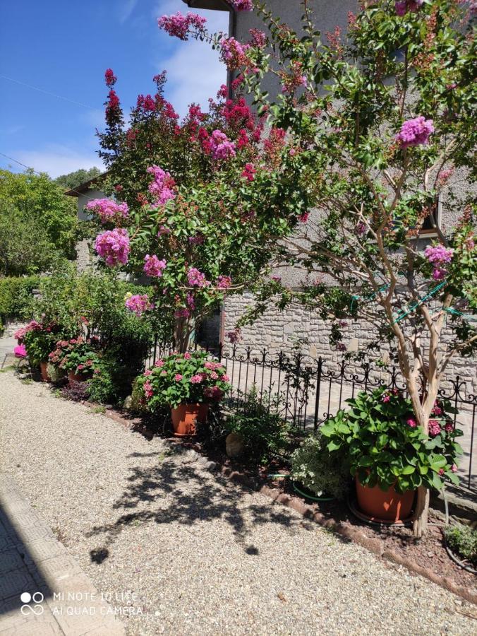 Casa Ortensia Chiusi della Verna Eksteriør bilde